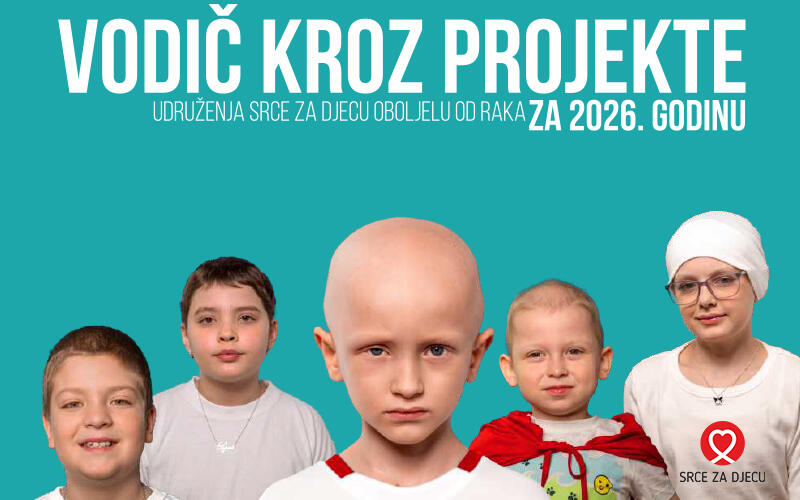 Vodič kroz projekte 2026.